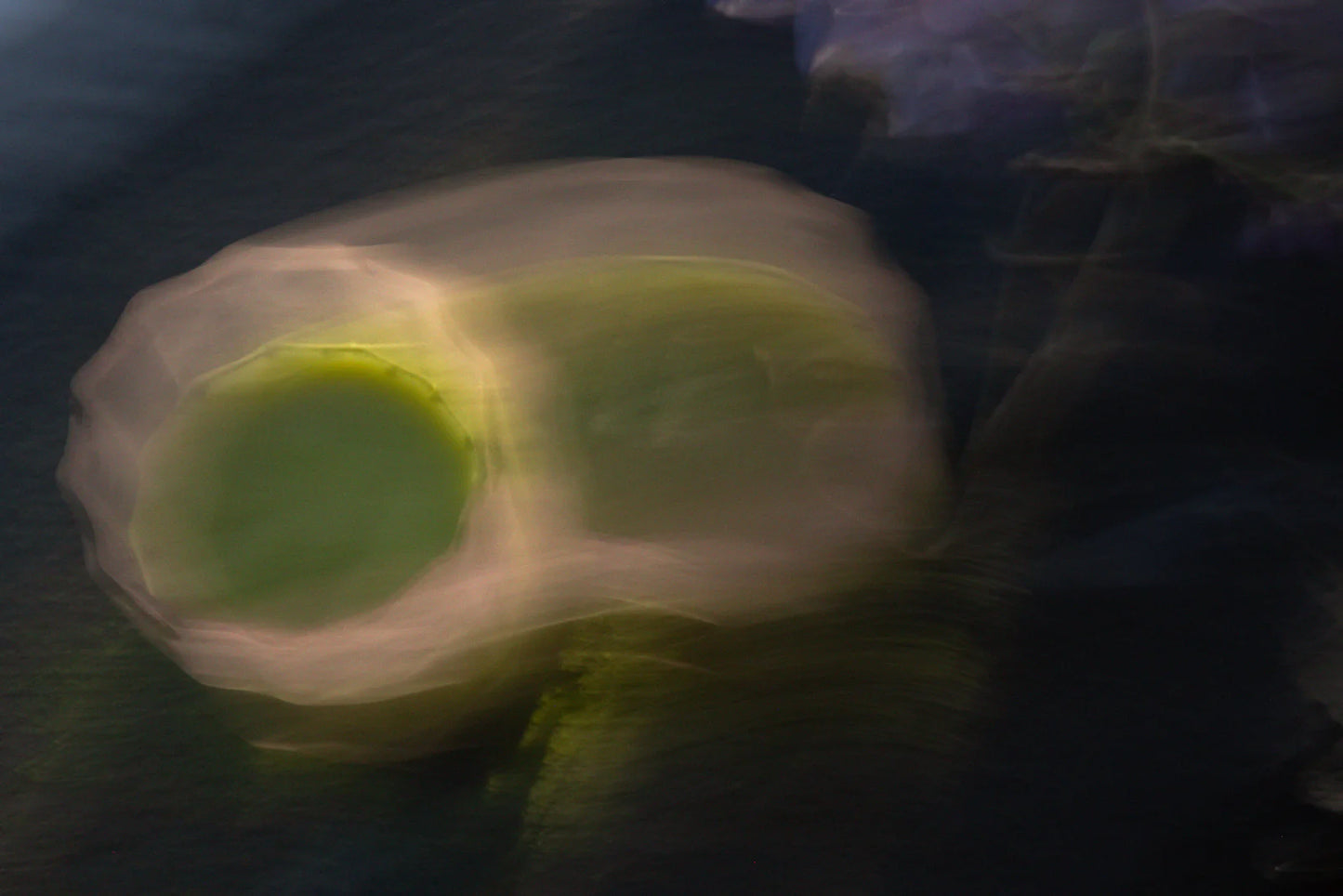 Ceremonial Matcha