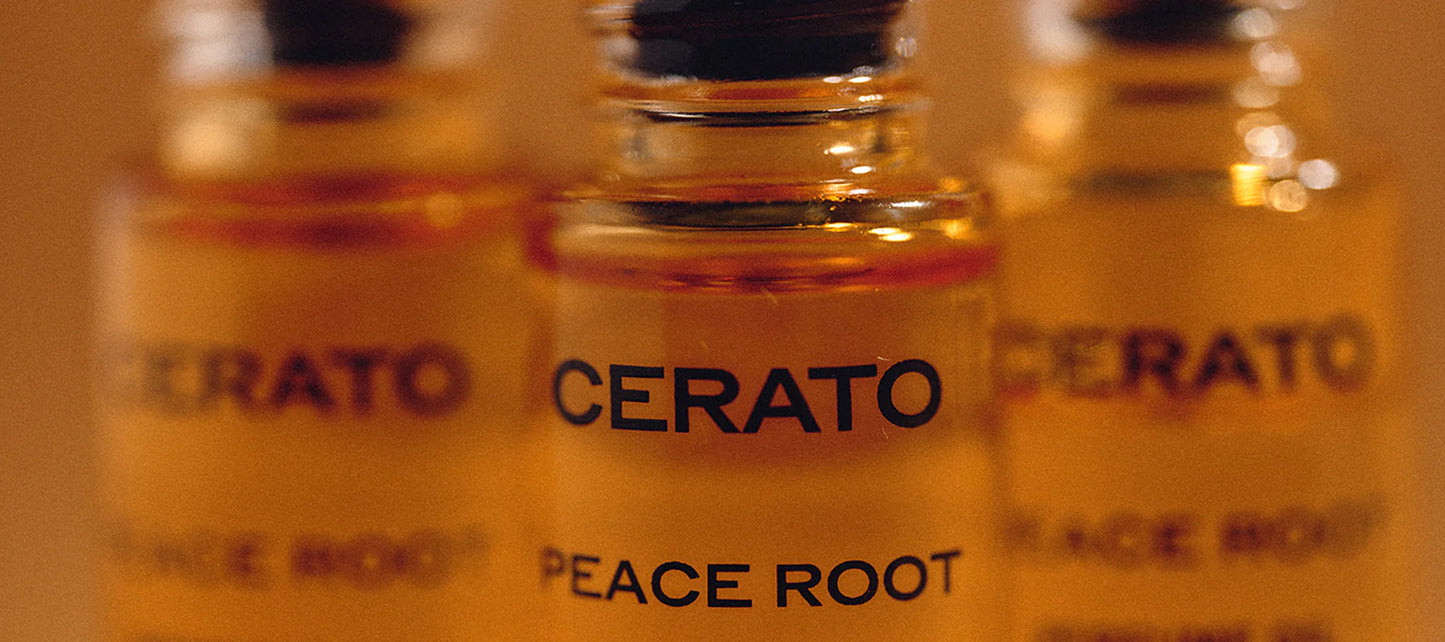 Cerato - Peace Root