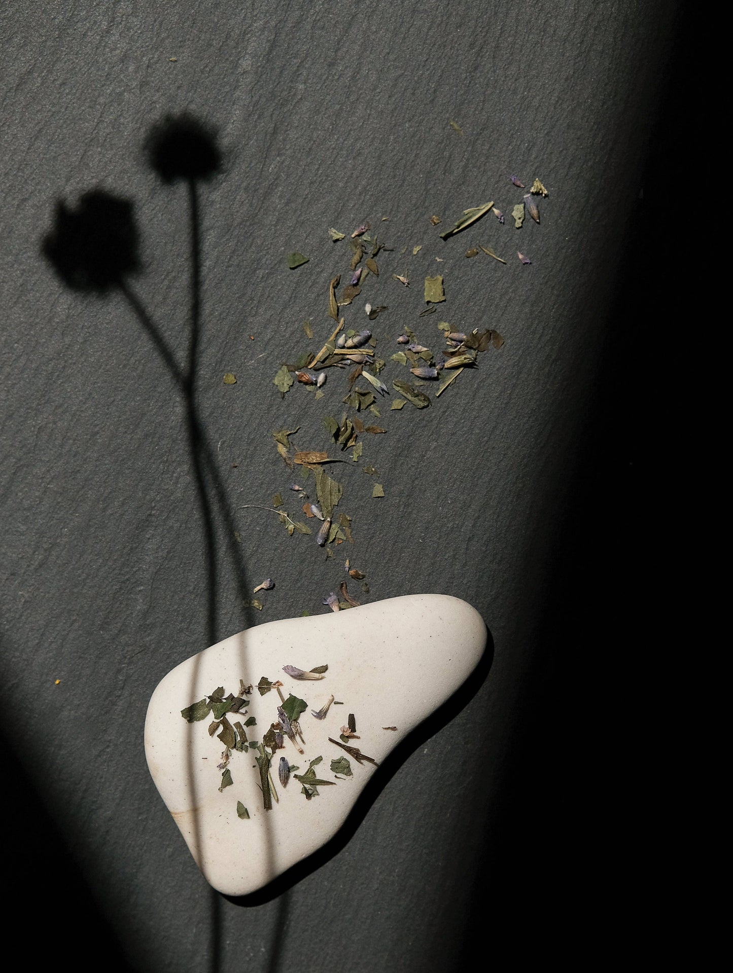 Serenitas Wholesale