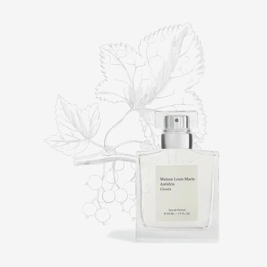 Eau de Parfum Antidris Cassis