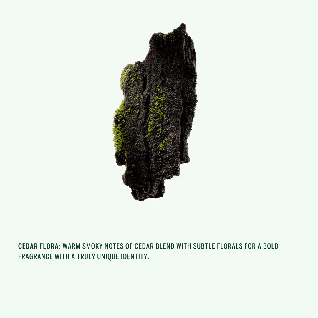 Cedar Flora Deodorant Stick