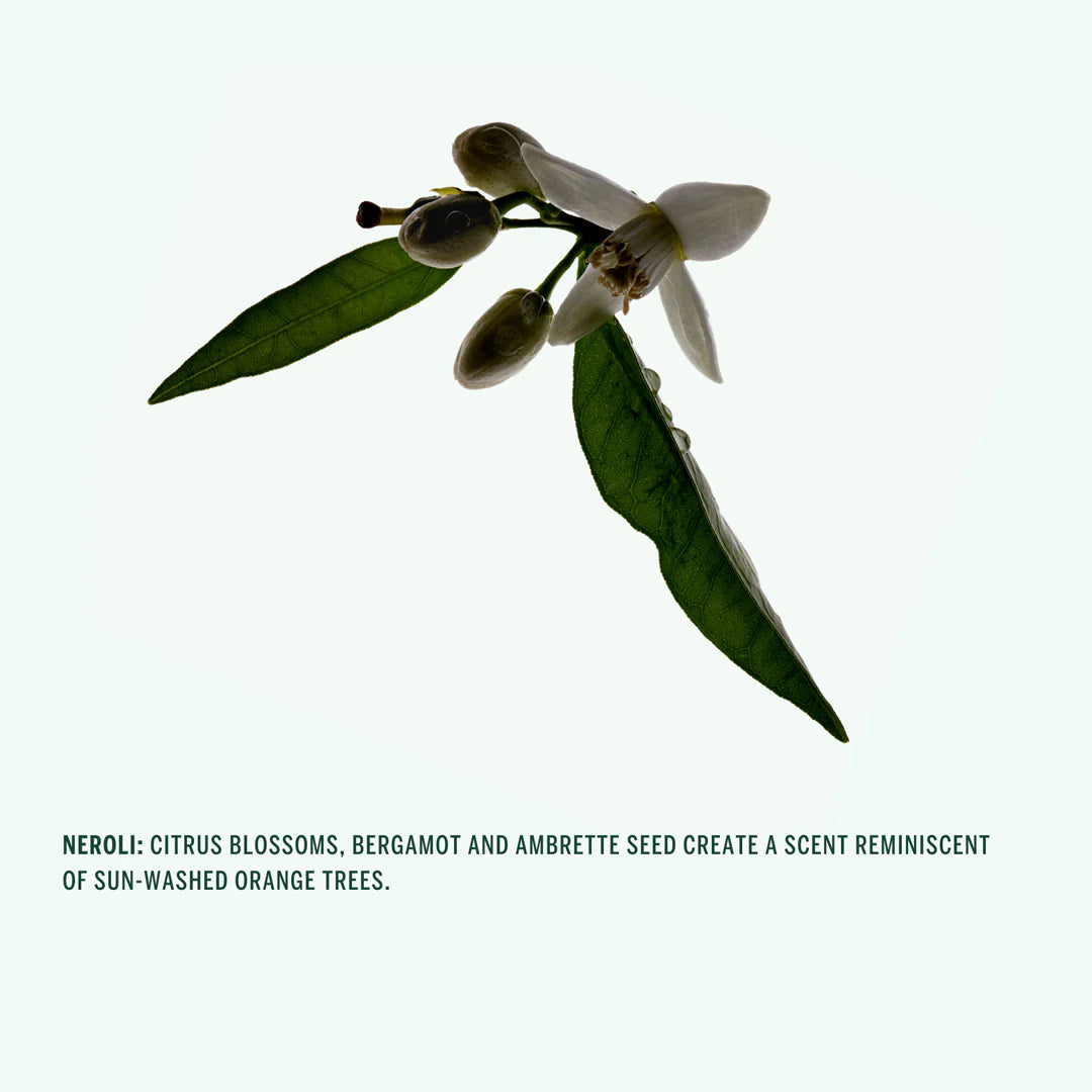 Neroli Deodorant Stick