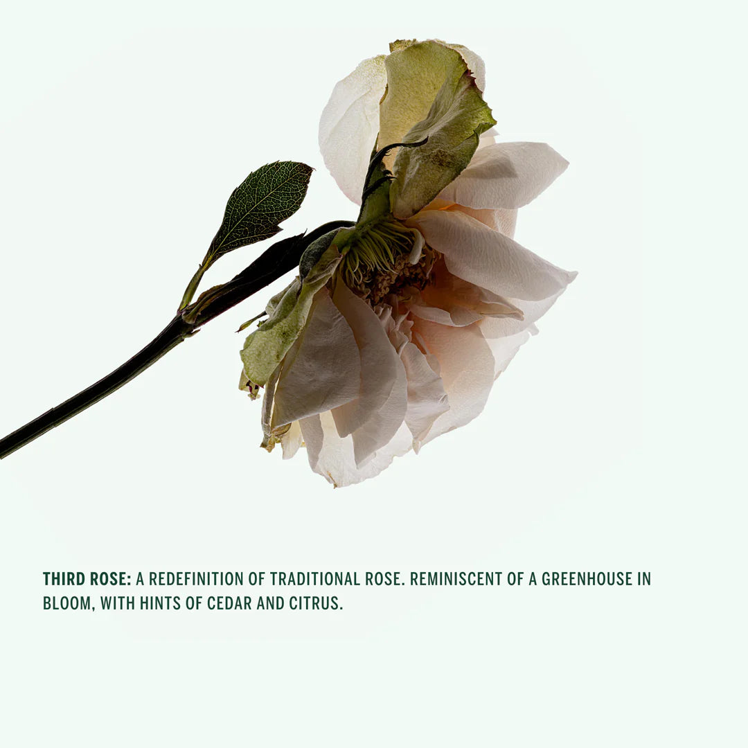 Third Rose Deodorant Stick