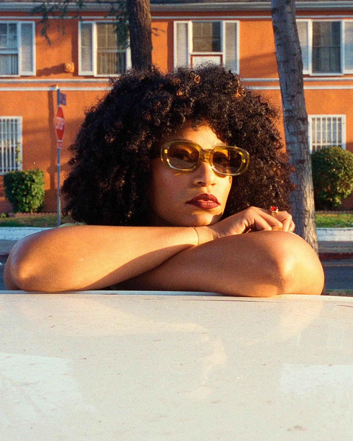 The Bikini Vision – Good Neighbor Oakland The Bikini Vision – Good Neighbor Oakland