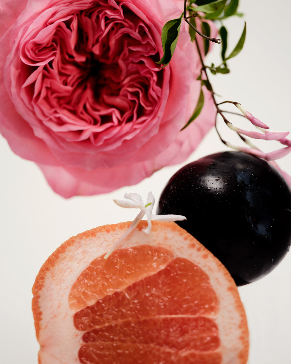 Body Oil No.14 Icila